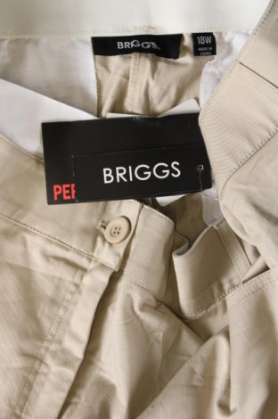 Damenhose Briggs, Größe XXL, Farbe Beige, Preis 16,65 €