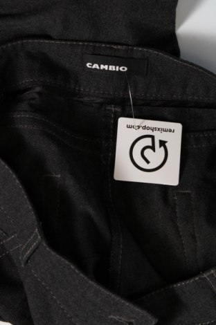 Pantaloni de femei Cambio, Mărime XL, Culoare Gri, Preț 134,21 Lei