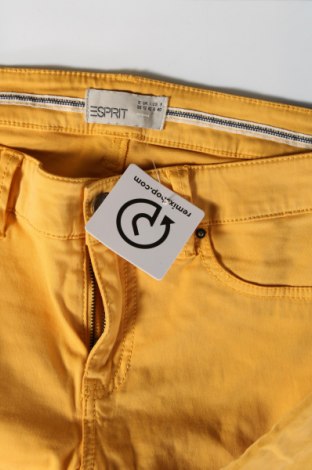 Damenhose Esprit, Größe M, Farbe Gelb, Preis 11,95 €