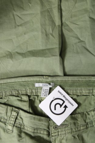 Dámske nohavice Esprit, Veľkosť M, Farba Zelená, Cena  10,46 €