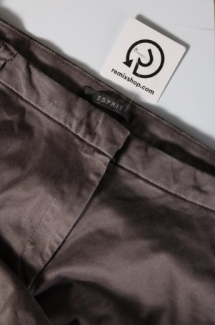 Γυναικείο παντελόνι Esprit, Μέγεθος XL, Χρώμα Γκρί, Τιμή 12,68 €