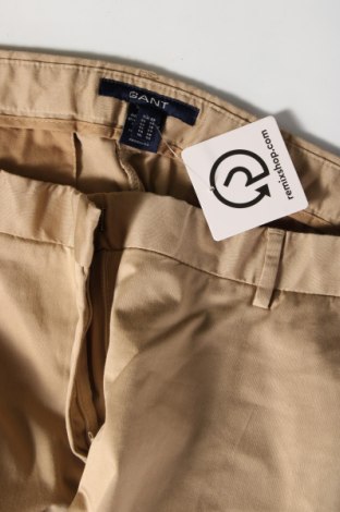 Damskie spodnie Gant, Rozmiar XL, Kolor Beżowy, Cena 272,08 zł