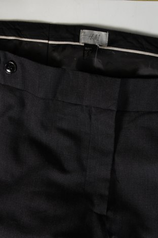 Dámské kalhoty  H&M, Velikost L, Barva Modrá, Cena  162,00 Kč