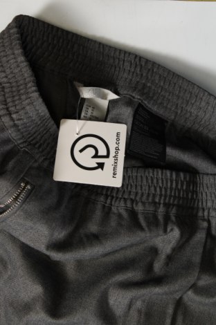 Damenhose H&M, Größe M, Farbe Grau, Preis € 9,08