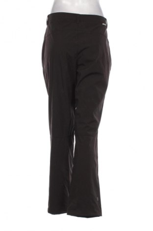 Γυναικείο παντελόνι Icepeak, Μέγεθος L, Χρώμα Καφέ, Τιμή 17,01 €