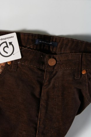 Дамски панталон Kapalua, Размер M, Цвят Кафяв, Цена 17,60 лв.