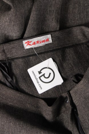 Γυναικείο παντελόνι Karina, Μέγεθος M, Χρώμα Γκρί, Τιμή 8,90 €
