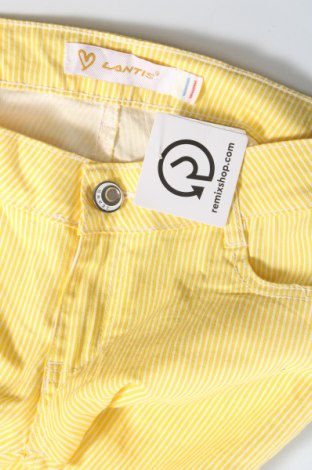Γυναικείο παντελόνι Lantis, Μέγεθος L, Χρώμα Κίτρινο, Τιμή 6,93 €