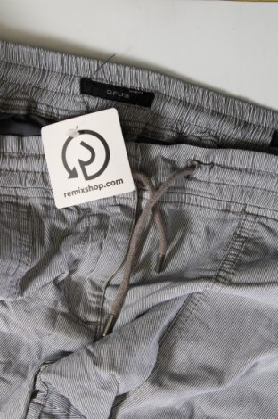 Γυναικείο παντελόνι Opus, Μέγεθος XL, Χρώμα Πολύχρωμο, Τιμή 25,24 €