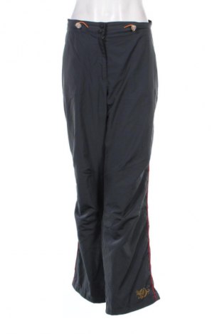 Damenhose TCM, Größe XL, Farbe Grau, Preis 10,86 €