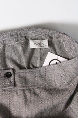 Γυναικείο παντελόνι Wallis, Μέγεθος M, Χρώμα Γκρί, Τιμή 12,68 €