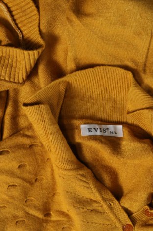 Γυναικείο πουλόβερ Evis, Μέγεθος M, Χρώμα Κίτρινο, Τιμή 13,19 €