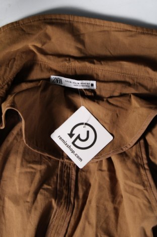 Dámský přechodný kabát  Zara, Velikost L, Barva Hnědá, Cena  482,00 Kč