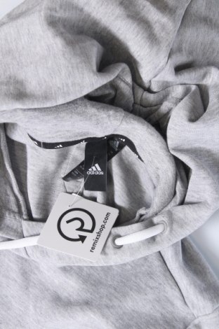 Damen Sweatshirt Adidas, Größe XS, Farbe Grau, Preis 33,40 €