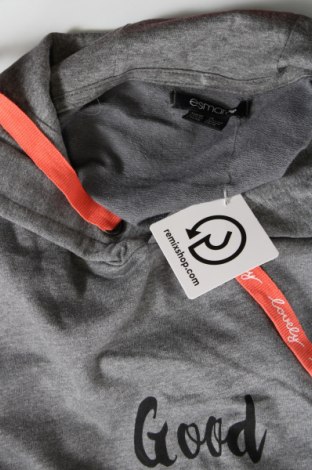 Damen Sweatshirt Esmara, Größe XL, Farbe Grau, Preis 11,10 €