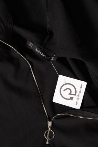 Damen Sweatshirt Zara, Größe S, Farbe Mehrfarbig, Preis 6,96 €