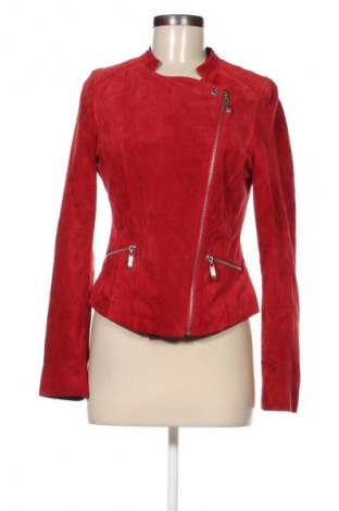 Γυναικείο δερμάτινο μπουφάν Hema, Μέγεθος S, Χρώμα Κόκκινο, Τιμή 66,19 €