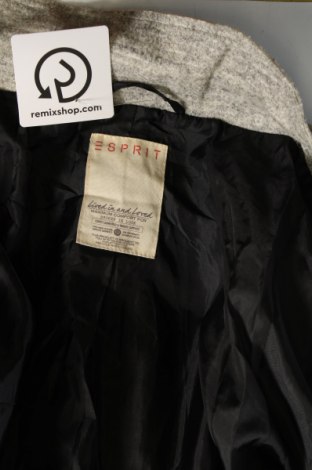 Damenmantel Esprit, Größe S, Farbe Grau, Preis € 36,24