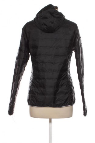 Γυναικείο μπουφάν Crane, Μέγεθος S, Χρώμα Μαύρο, Τιμή 8,91 €