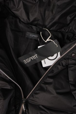 Γυναικείο μπουφάν Esprit, Μέγεθος XS, Χρώμα Μαύρο, Τιμή 50,54 €