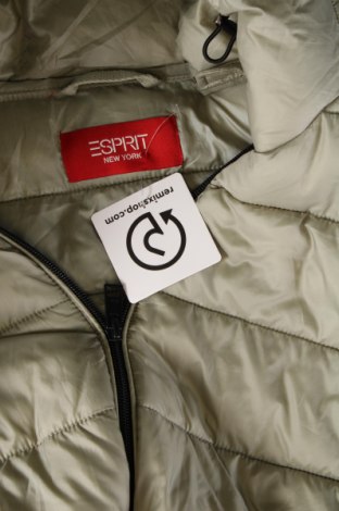 Damenjacke Esprit, Größe M, Farbe Grün, Preis € 36,18