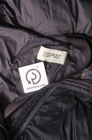 Dámska bunda  Esprit, Veľkosť XL, Farba Sivá, Cena  53,20 €