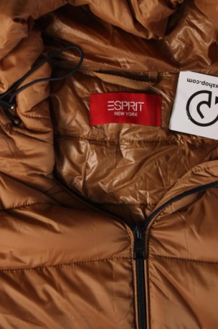 Dámská bunda  Esprit, Velikost M, Barva Hnědá, Cena  1 496,00 Kč