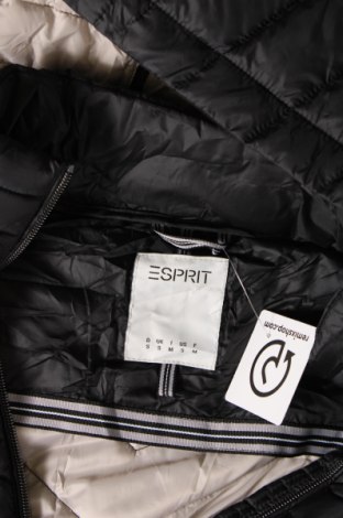 Damenjacke Esprit, Größe S, Farbe Schwarz, Preis 31,31 €