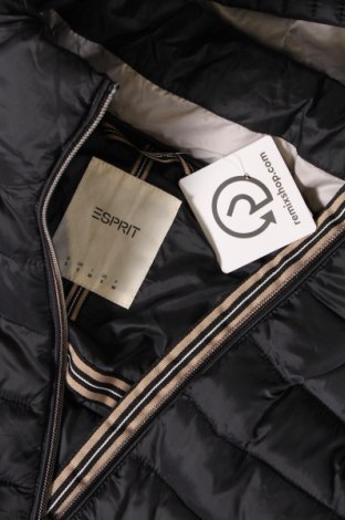 Γυναικείο μπουφάν Esprit, Μέγεθος S, Χρώμα Μαύρο, Τιμή 27,83 €