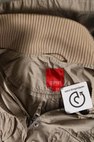 Damenjacke Esprit, Größe M, Farbe Beige, Preis € 24,99