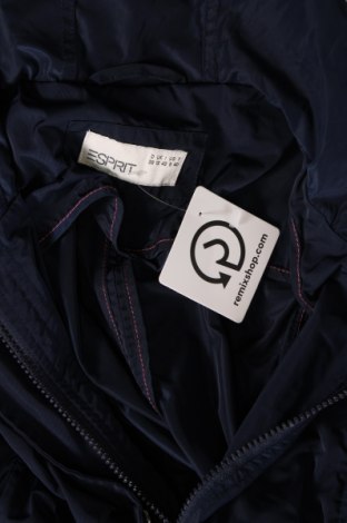 Dámska bunda  Esprit, Veľkosť M, Farba Modrá, Cena  19,28 €
