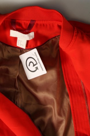 Damenjacke H&M, Größe S, Farbe Rot, Preis 13,36 €