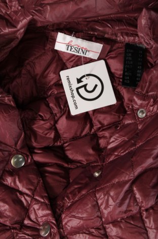 Dámska bunda  Linea Tesini, Veľkosť M, Farba Červená, Cena  19,28 €