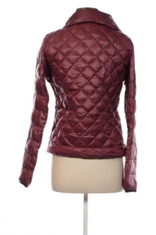 Γυναικείο μπουφάν Linea Tesini, Μέγεθος M, Χρώμα Κόκκινο, Τιμή 21,03 €