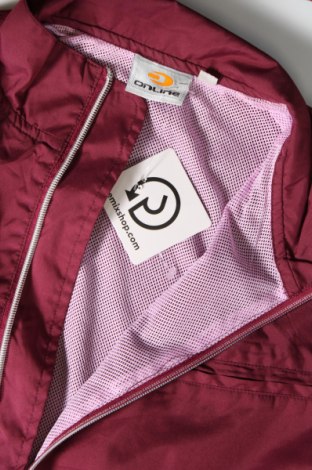 Dámska bunda  Online, Veľkosť S, Farba Popolavo ružová, Cena  11,91 €