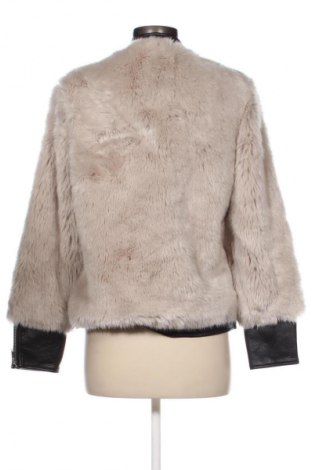 Damenjacke Zara, Größe S, Farbe Grau, Preis 28,53 €