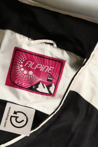 Damenjacke für Wintersports Alpine Pro, Größe M, Farbe Weiß, Preis 37,58 €
