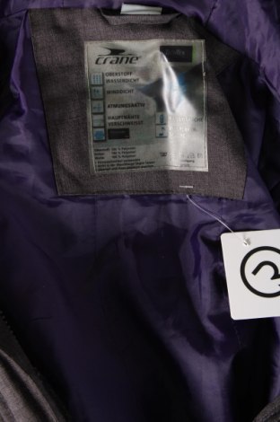 Γυναίκειο μπουφάν για χειμερινά σπορ Crane, Μέγεθος M, Χρώμα Γκρί, Τιμή 30,32 €