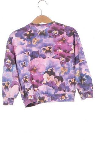 Kinder Shirt Coccodrillo, Größe 2-3y/ 98-104 cm, Farbe Mehrfarbig, Preis € 6,14
