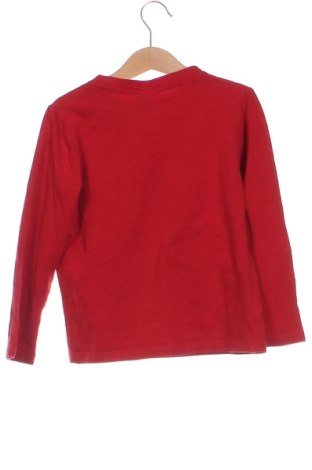 Dziecięca bluzka Coccodrillo, Rozmiar 5-6y/ 116-122 cm, Kolor Czerwony, Cena 14,25 zł