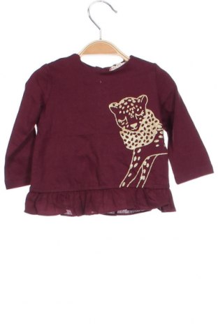 Детска блуза Du Pareil Au Meme, Размер 6-9m/ 68-74 см, Цвят Лилав, Цена 7,74 лв.