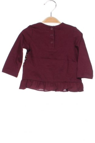 Детска блуза Du Pareil Au Meme, Размер 6-9m/ 68-74 см, Цвят Лилав, Цена 9,00 лв.