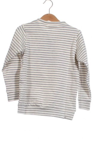 Детска блуза Little Celebs, Размер 3-4y/ 104-110 см, Цвят Многоцветен, Цена 9,00 лв.