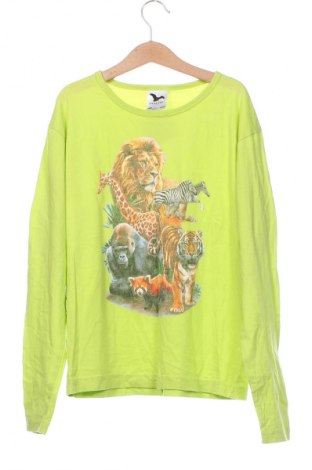 Детска блуза Malfini, Размер 11-12y/ 152-158 см, Цвят Зелен, Цена 7,06 лв.