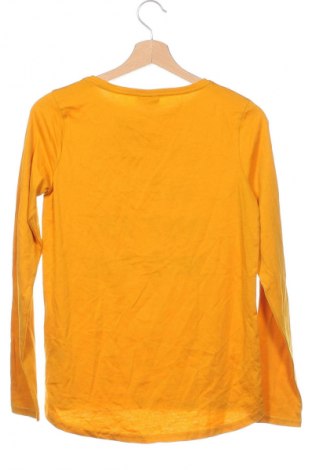 Kinder Shirt Page One, Größe 12-13y/ 158-164 cm, Farbe Gelb, Preis € 5,05