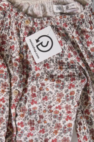 Kinder Shirt Zara, Größe 3-4y/ 104-110 cm, Farbe Mehrfarbig, Preis 3,99 €