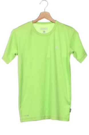Kinder T-Shirt ALEX, Größe 13-14y/ 164-168 cm, Farbe Grün, Preis € 8,04
