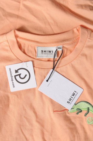 Kinder T-Shirt Shiwi, Größe 12-13y/ 158-164 cm, Farbe Orange, Preis € 8,51