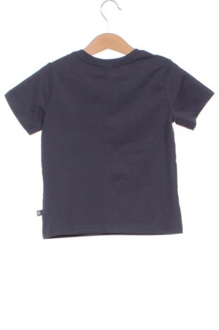 Tricou pentru copii Tommy Bahama, Mărime 2-3y/ 98-104 cm, Culoare Albastru, Preț 149,75 Lei