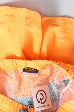 Kinderbadeanzug Shiwi, Größe 10-11y/ 146-152 cm, Farbe Mehrfarbig, Preis € 8,04